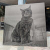 custom laser engraved anodized aluminum plate image photo