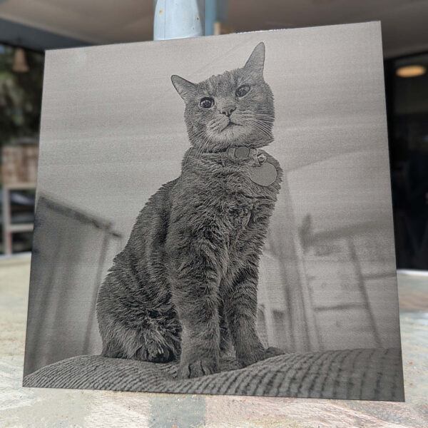 custom laser engraved anodized aluminum plate image photo
